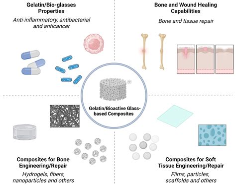  Bioactive Glass Applications in Bone Tissue Engineering and Regenerative Medicine