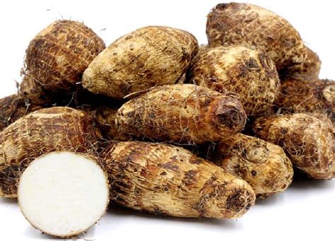  Cocoyam: Exploring This Nutrient-Rich Tuber and Its Versatility in Industrial Applications!