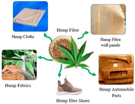 Hemp Fiber: Exploring Its Industrial Applications and Sustainability Potential!