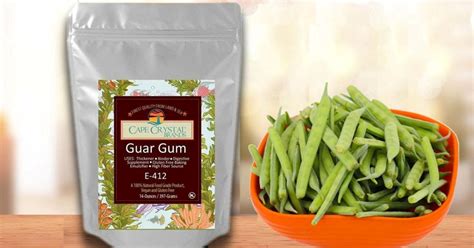  Guar Gum - A Natural Thickener Revolutionizing Food and Industrial Applications!