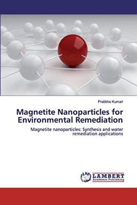  Magnetite Nanoparticles: A Powerhouse for Advanced Remediation and Sustainable Energy Applications?