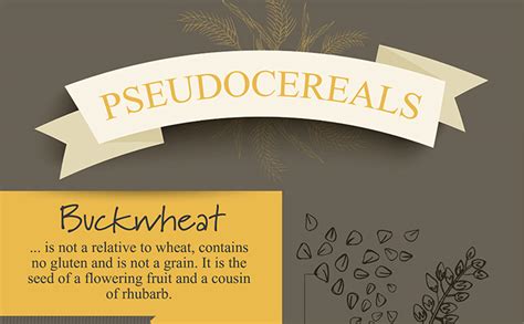  Quinoa: Ancient Grain for Modern Food Formulations and Sustainable Agricultural Practices!